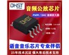 DHST5301新款音頻公放IC